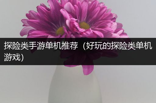 探险类手游单机推荐（好玩的探险类单机游戏）