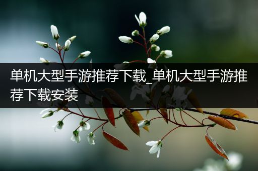 单机大型手游推荐下载_单机大型手游推荐下载安装