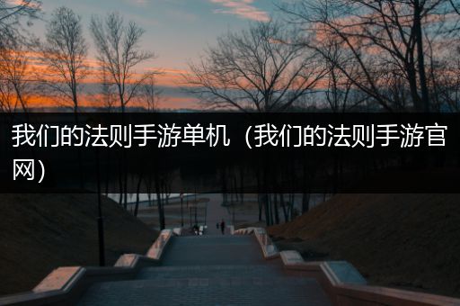 我们的法则手游单机（我们的法则手游官网）