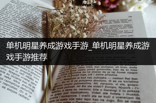 单机明星养成游戏手游_单机明星养成游戏手游推荐