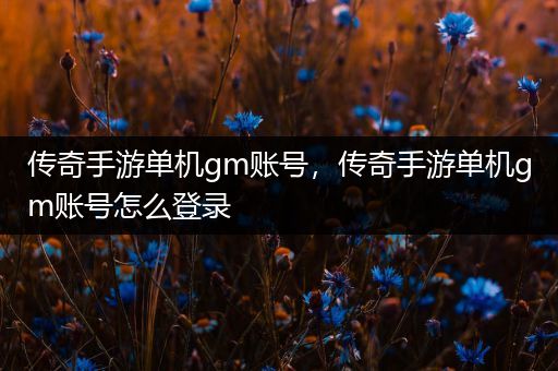 传奇手游单机gm账号，传奇手游单机gm账号怎么登录