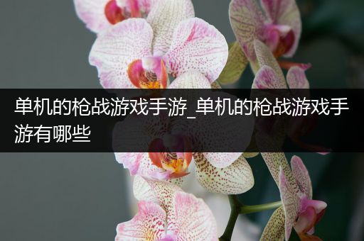 单机的枪战游戏手游_单机的枪战游戏手游有哪些