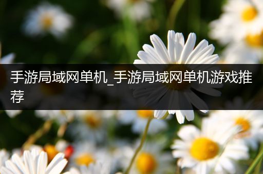 手游局域网单机_手游局域网单机游戏推荐