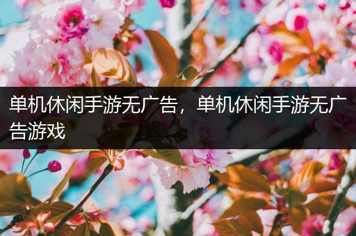 单机休闲手游无广告，单机休闲手游无广告游戏