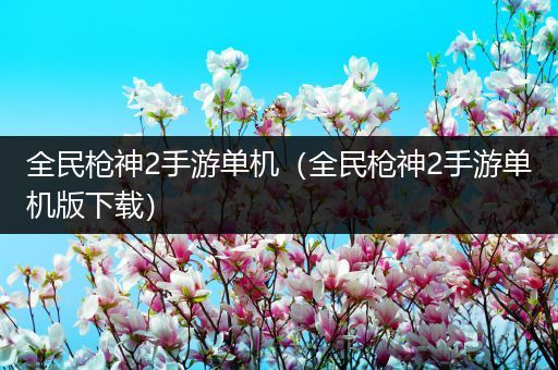 全民枪神2手游单机（全民枪神2手游单机版下载）