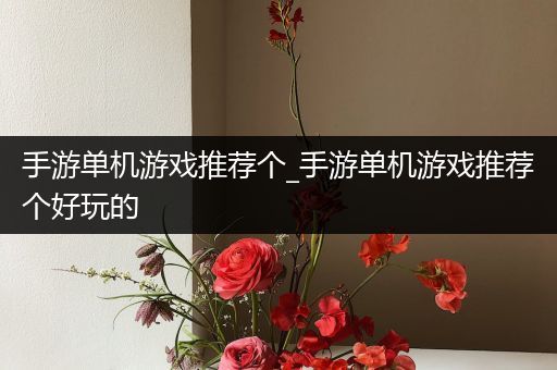 手游单机游戏推荐个_手游单机游戏推荐个好玩的