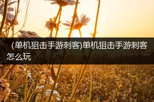 （单机狙击手游刺客)单机狙击手游刺客怎么玩