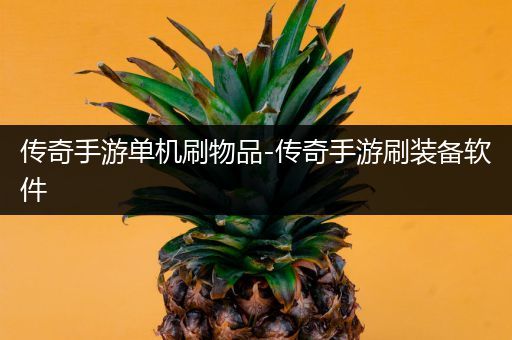 传奇手游单机刷物品-传奇手游刷装备软件