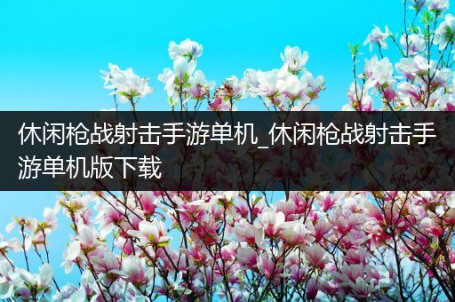 休闲枪战射击手游单机_休闲枪战射击手游单机版下载