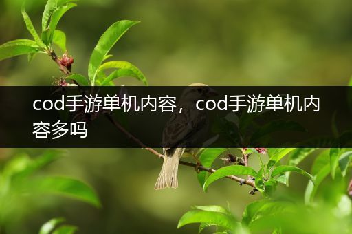 cod手游单机内容，cod手游单机内容多吗