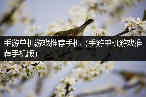 手游单机游戏推荐手机（手游单机游戏推荐手机版）