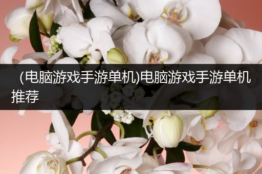 （电脑游戏手游单机)电脑游戏手游单机推荐