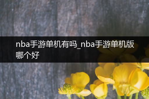 nba手游单机有吗_nba手游单机版哪个好