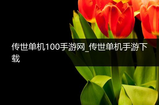 传世单机100手游网_传世单机手游下载