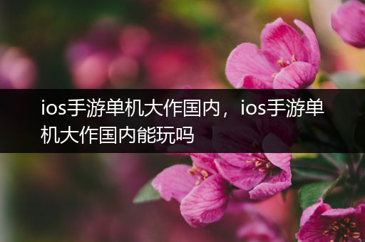 ios手游单机大作国内，ios手游单机大作国内能玩吗