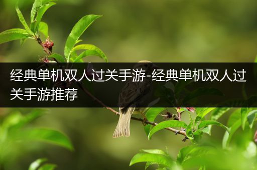 经典单机双人过关手游-经典单机双人过关手游推荐