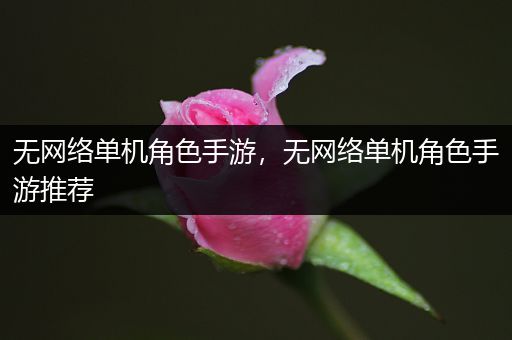 无网络单机角色手游，无网络单机角色手游推荐