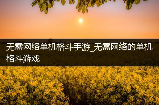 无需网络单机格斗手游_无需网络的单机格斗游戏