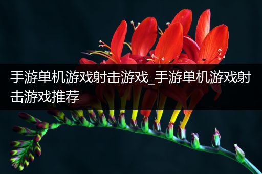 手游单机游戏射击游戏_手游单机游戏射击游戏推荐