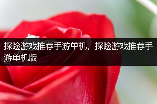 探险游戏推荐手游单机，探险游戏推荐手游单机版