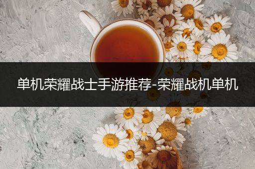 单机荣耀战士手游推荐-荣耀战机单机