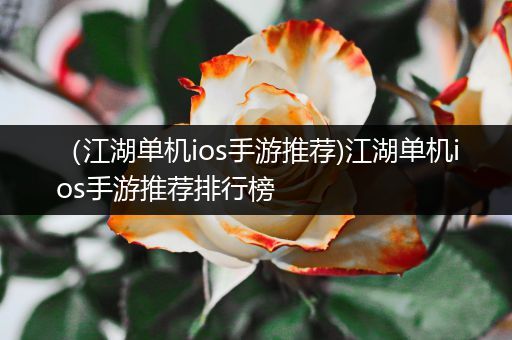 （江湖单机ios手游推荐)江湖单机ios手游推荐排行榜