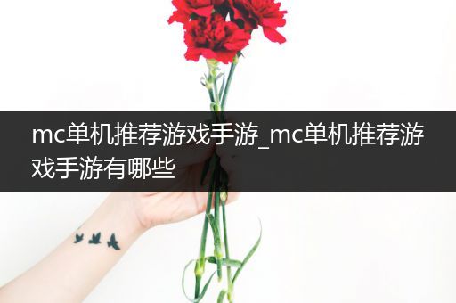 mc单机推荐游戏手游_mc单机推荐游戏手游有哪些