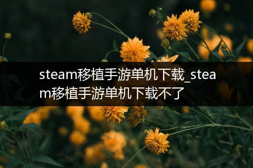 steam移植手游单机下载_steam移植手游单机下载不了