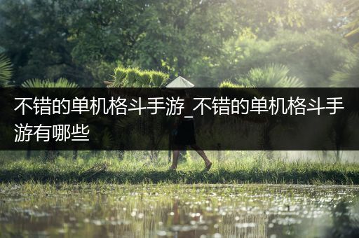 不错的单机格斗手游_不错的单机格斗手游有哪些