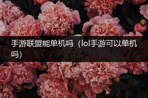 手游联盟能单机吗（lol手游可以单机吗）