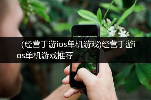 （经营手游ios单机游戏)经营手游ios单机游戏推荐