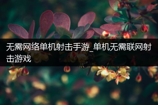 无需网络单机射击手游_单机无需联网射击游戏