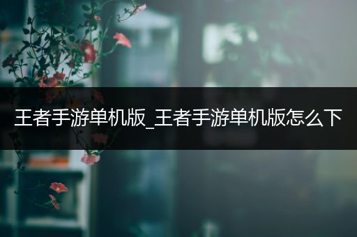 王者手游单机版_王者手游单机版怎么下