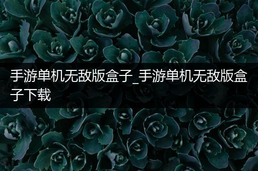 手游单机无敌版盒子_手游单机无敌版盒子下载