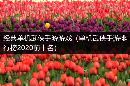 经典单机武侠手游游戏（单机武侠手游排行榜2020前十名）