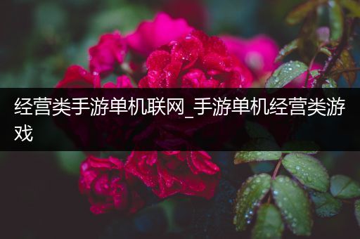 经营类手游单机联网_手游单机经营类游戏