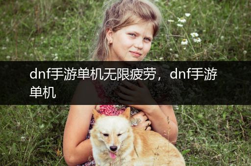 dnf手游单机无限疲劳，dnf手游 单机