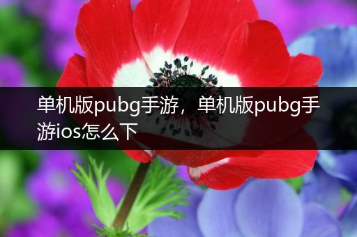 单机版pubg手游，单机版pubg手游ios怎么下