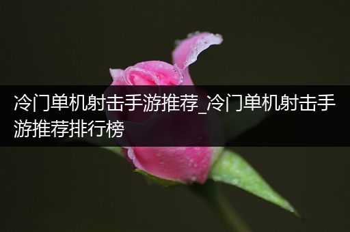 冷门单机射击手游推荐_冷门单机射击手游推荐排行榜