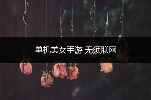 单机美女手游 无须联网