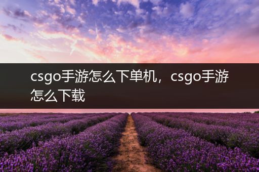 csgo手游怎么下单机，csgo手游怎么下载