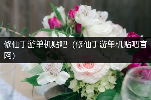 修仙手游单机贴吧（修仙手游单机贴吧官网）