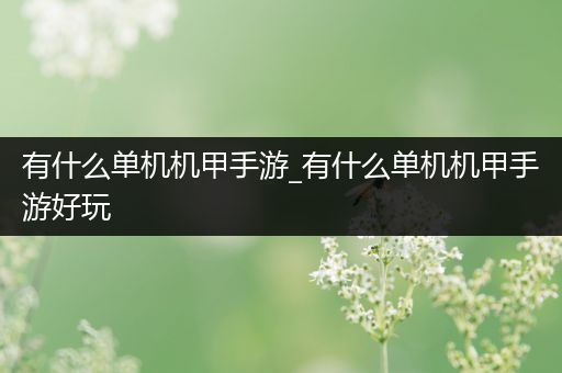 有什么单机机甲手游_有什么单机机甲手游好玩