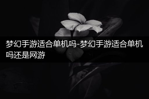 梦幻手游适合单机吗-梦幻手游适合单机吗还是网游