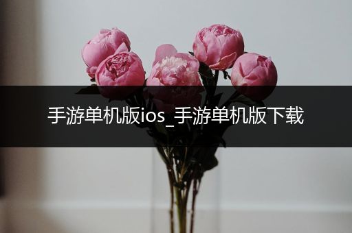 手游单机版ios_手游单机版下载