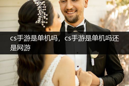 cs手游是单机吗，cs手游是单机吗还是网游