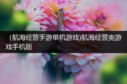 （航海经营手游单机游戏)航海经营类游戏手机版