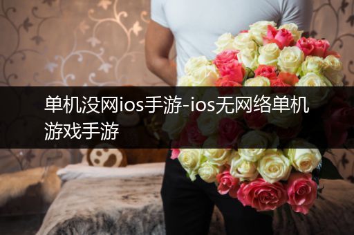 单机没网ios手游-ios无网络单机游戏手游