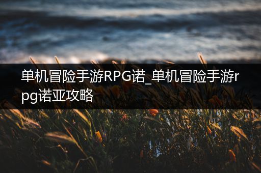 单机冒险手游RPG诺_单机冒险手游rpg诺亚攻略