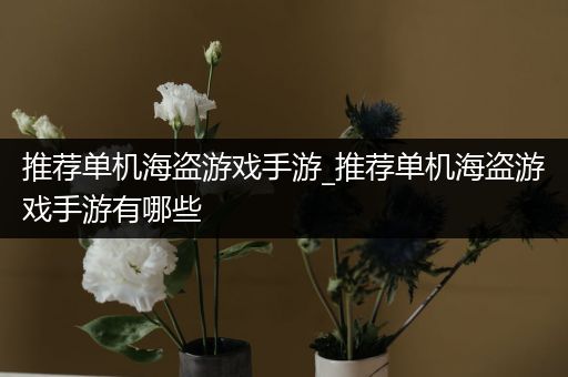 推荐单机海盗游戏手游_推荐单机海盗游戏手游有哪些